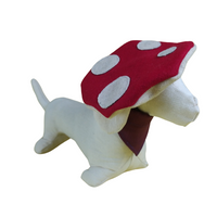 Perro Salchicho Outfit Michiboina y paliacate