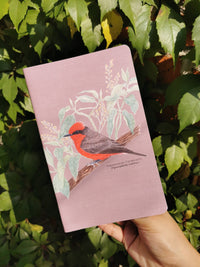 Libreta papamoscas cardenalito