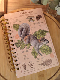 Libreta media carta "Ardilla gris"
