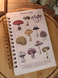 Libreta media carta "Reino fungi"
