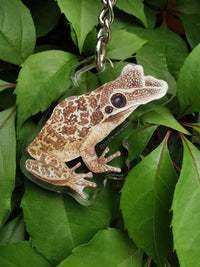 LLavero rana cabeza de pala