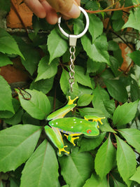 LLavero rana ojos rojos