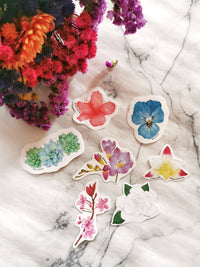 Paquete de stickers "Bótanica 1"