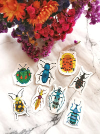 Paquete de stickers "Escarabajos Mini"