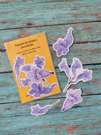 Paquete de stickers "Jacarandas"