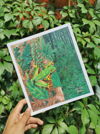 Print "Rana ojos rojos"