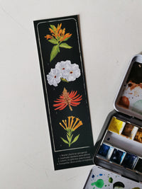 Separador Botanica 1