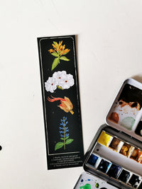 Separador Botanica 3