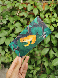 Separador rana amarilla