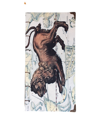 Libreta "Sidera Leo"