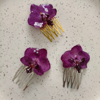 Orquidea peineta chica