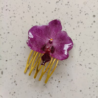 Orquidea peineta chica