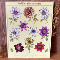 Print "Dalias de México"