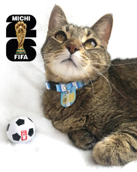 Collar "Mundial Argentina"