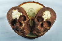 Champú Sólido de Avena y Cacao