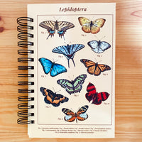 Libreta media carta "Lepidóptera"