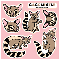 Planilla stickers "Cacomixtles"