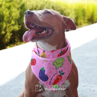 Bandana para Cachorro Modorro CH "Dog Veggies" (Copia)