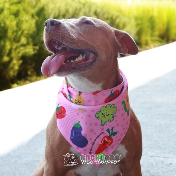 Bandana para Cachorro Modorro CH 