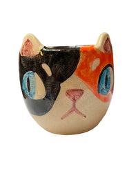 Mezcalero gatito