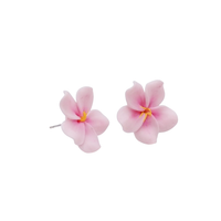 Broquel Cerezo