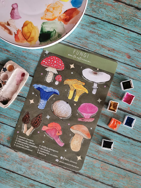 Planilla de stickers fungi