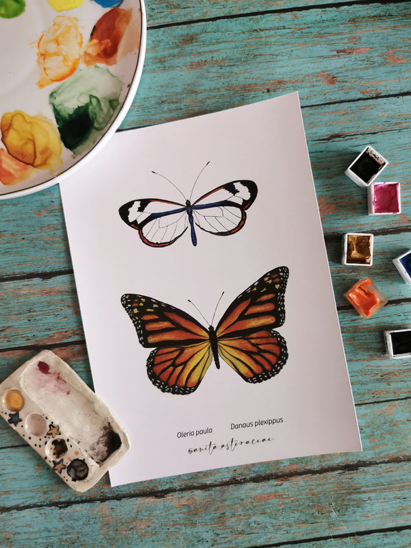 Print set de dos mariposas