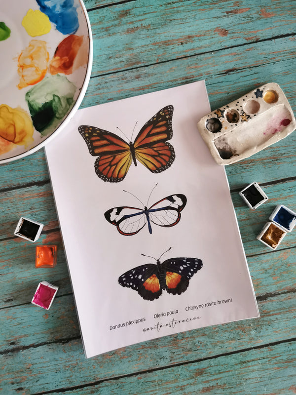 Print set de tres mariposas