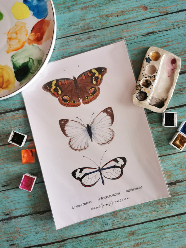 Print set de tres mariposas café y blanco