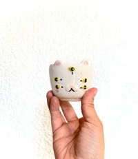 Tacita gatito