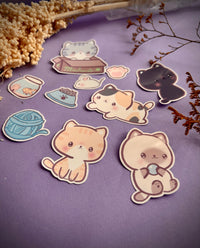 michitos paquete stickers