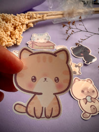 michitos paquete stickers
