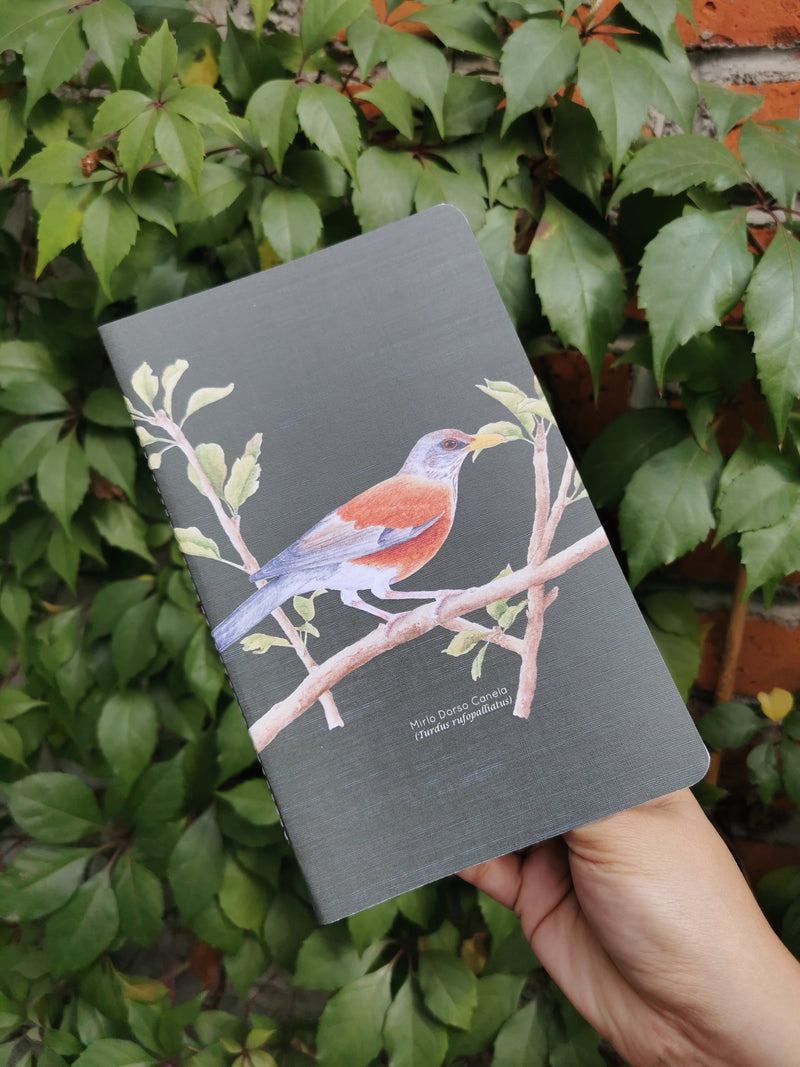 Libreta mirlo canela