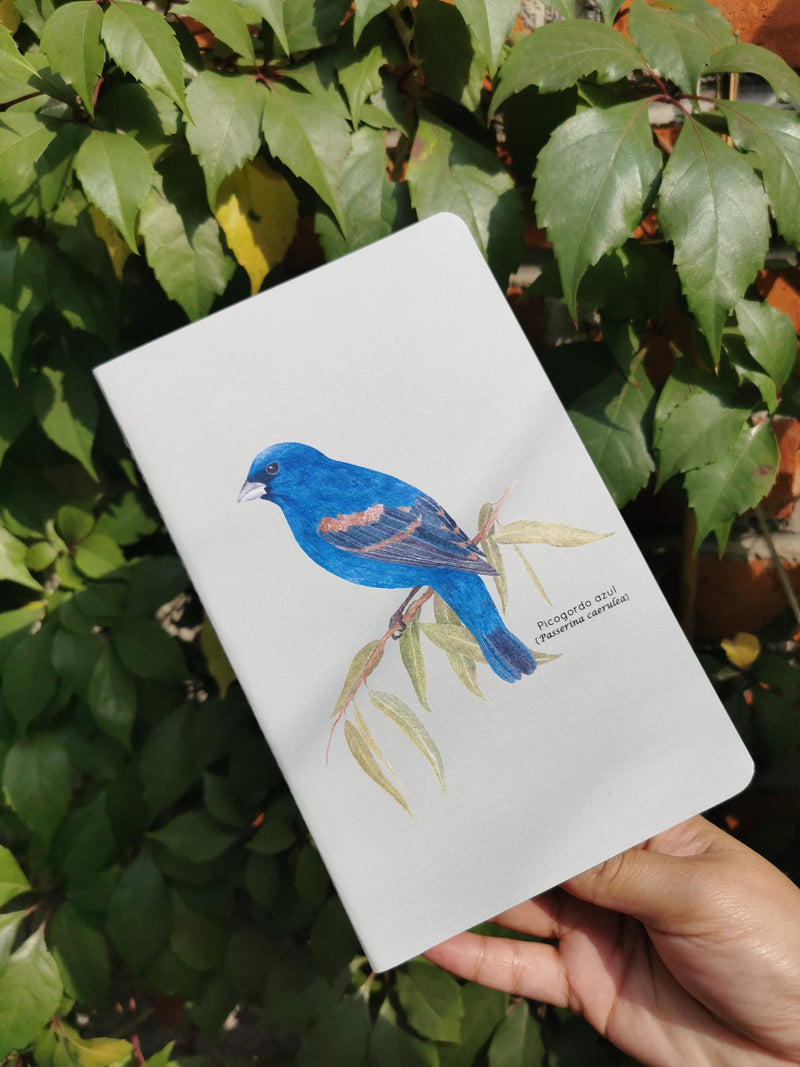 Libreta picogordo azul