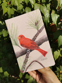 Libreta piranga roja