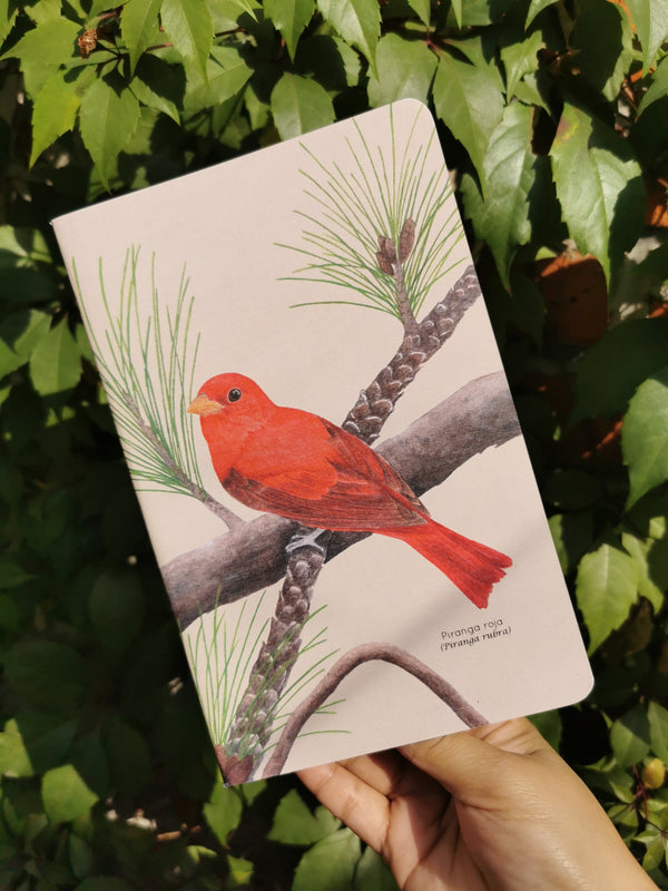 Libreta piranga roja