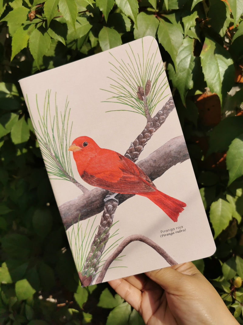 Libreta piranga roja