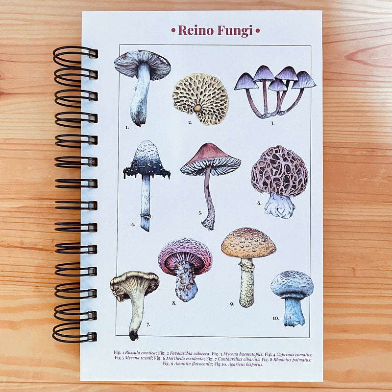 Libreta media carta "Hongo print"