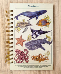 Libreta media carta "Marinos"