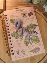 Libreta media carta "Ardilla gris"