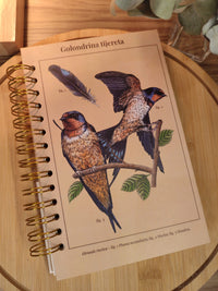 Libreta media carta "Golondrina tijereta"