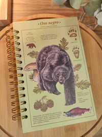 Libreta media carta "Oso negro"