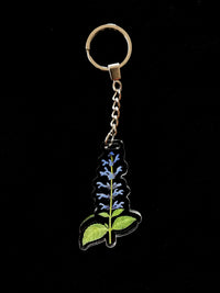 LLavero Salvia