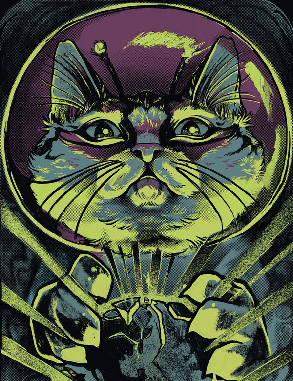 Playera U.F.O (unidentified feline object)
