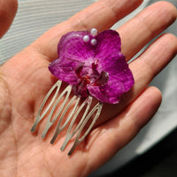 Orquidea peineta chica