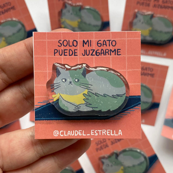 Pin gato juzgón