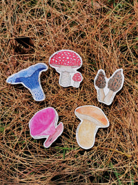 Paquete de stickers "Fungi" con efecto glitter