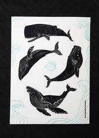 Planilla de sticker Ballenas