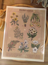 Print "Hierbas magicas"