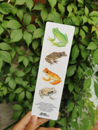 Separador ranas 4